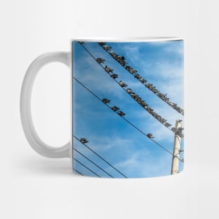 Pigeons on a wire Mug